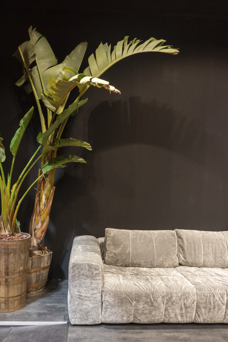 Silver Velvet Turns Charcoal Across the Same Sofa