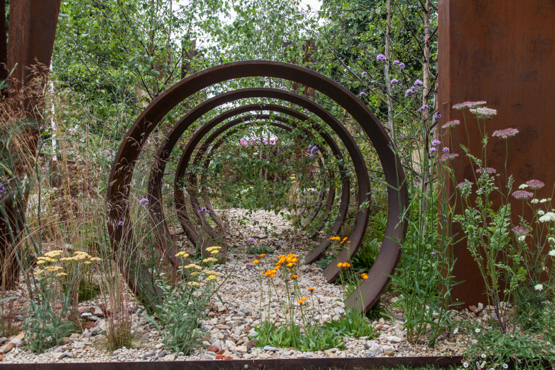 Steel Rings Create a Passage for the Eye