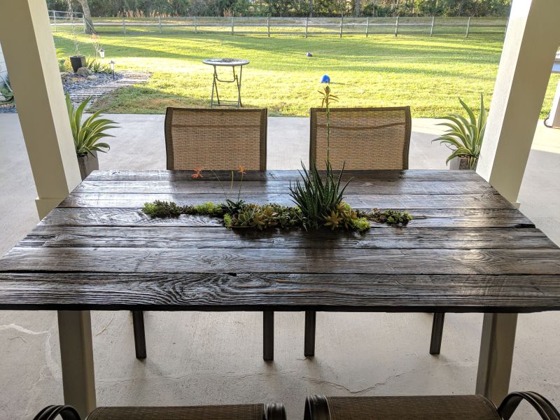 Succulents filled the space between the boards