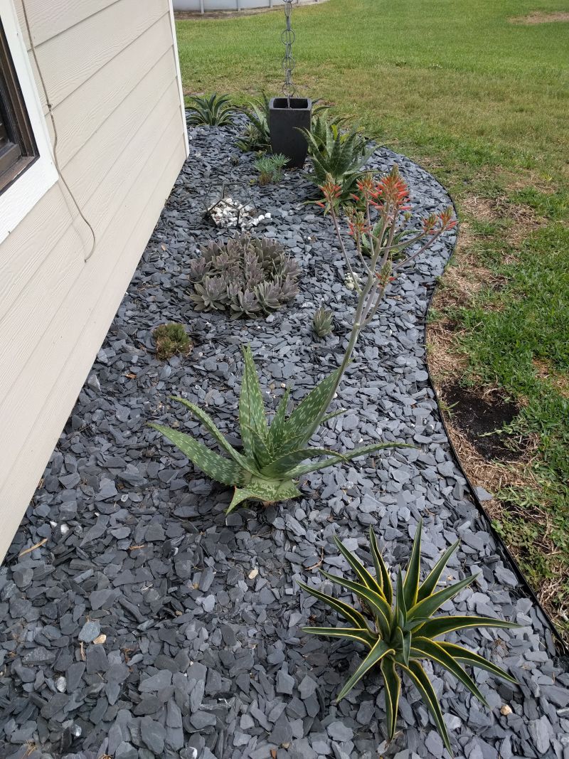 The Garden Began Filling Out Around the Rocks