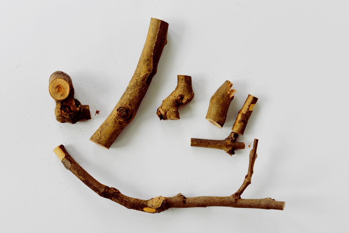 The branch was cut into shorter pieces