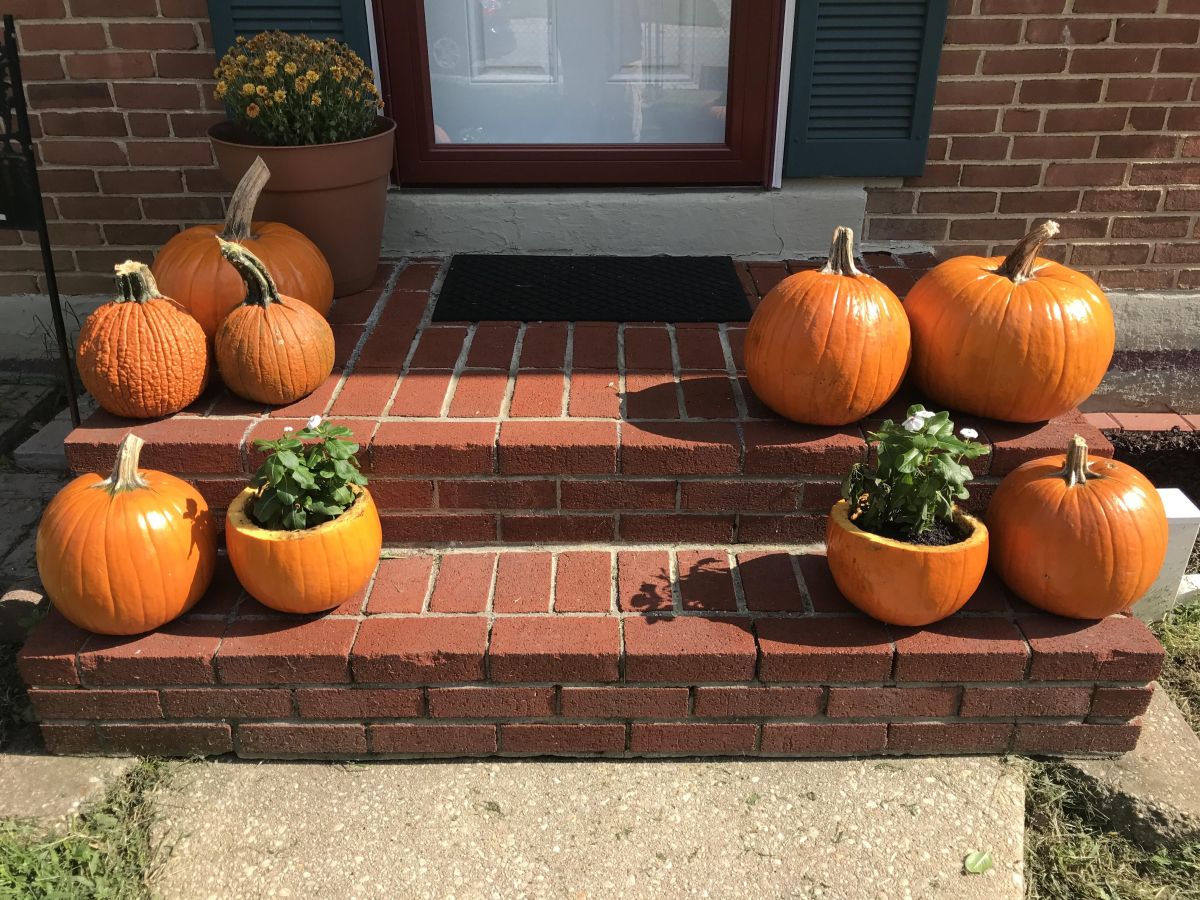 Turn Your Halloween Pumpkin Into a Flowerpot