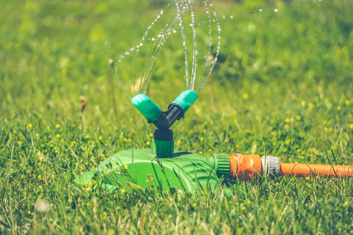 What the Water Level Reveals About Your Lawn