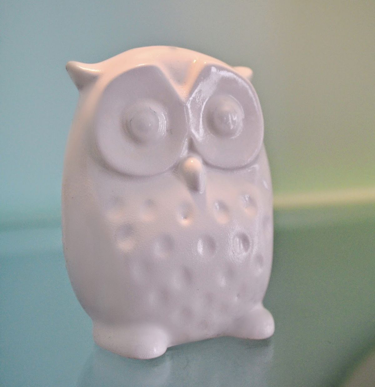 White Paint Changed the Owl’s Expression
