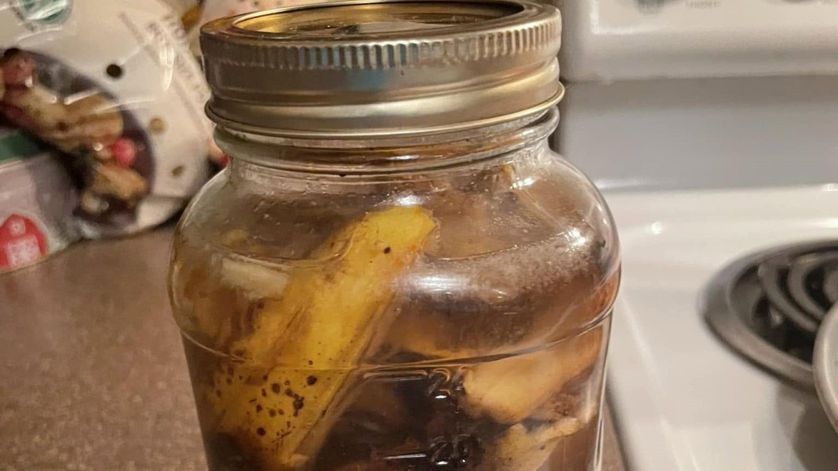 You Think Banana-Peel Water Is Feeding Your Houseplants, but University Experts Say Something Is Missing