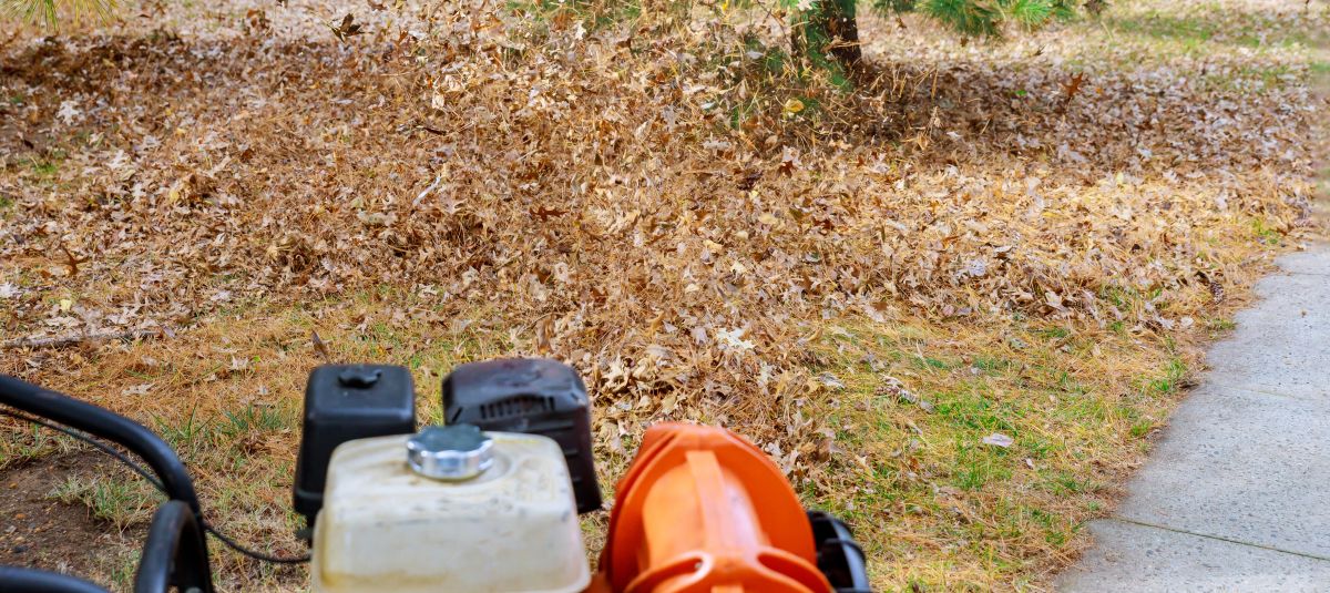 cutting the lawn on fall - Check This Before Lowering the Mower
