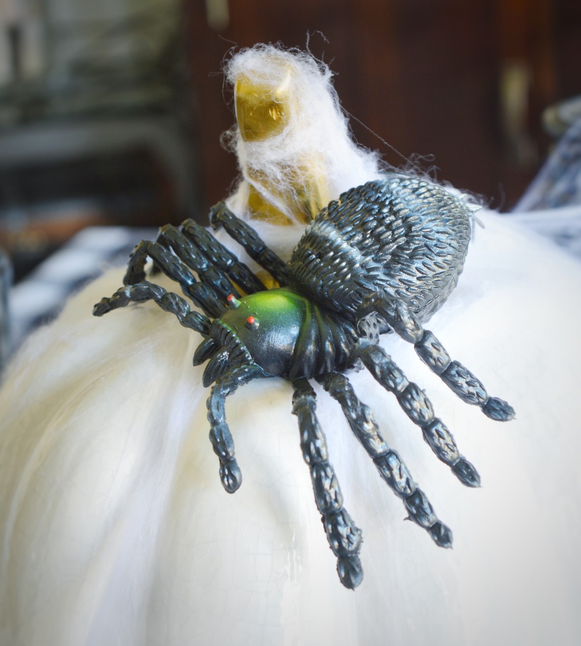 largest spider has a textured body