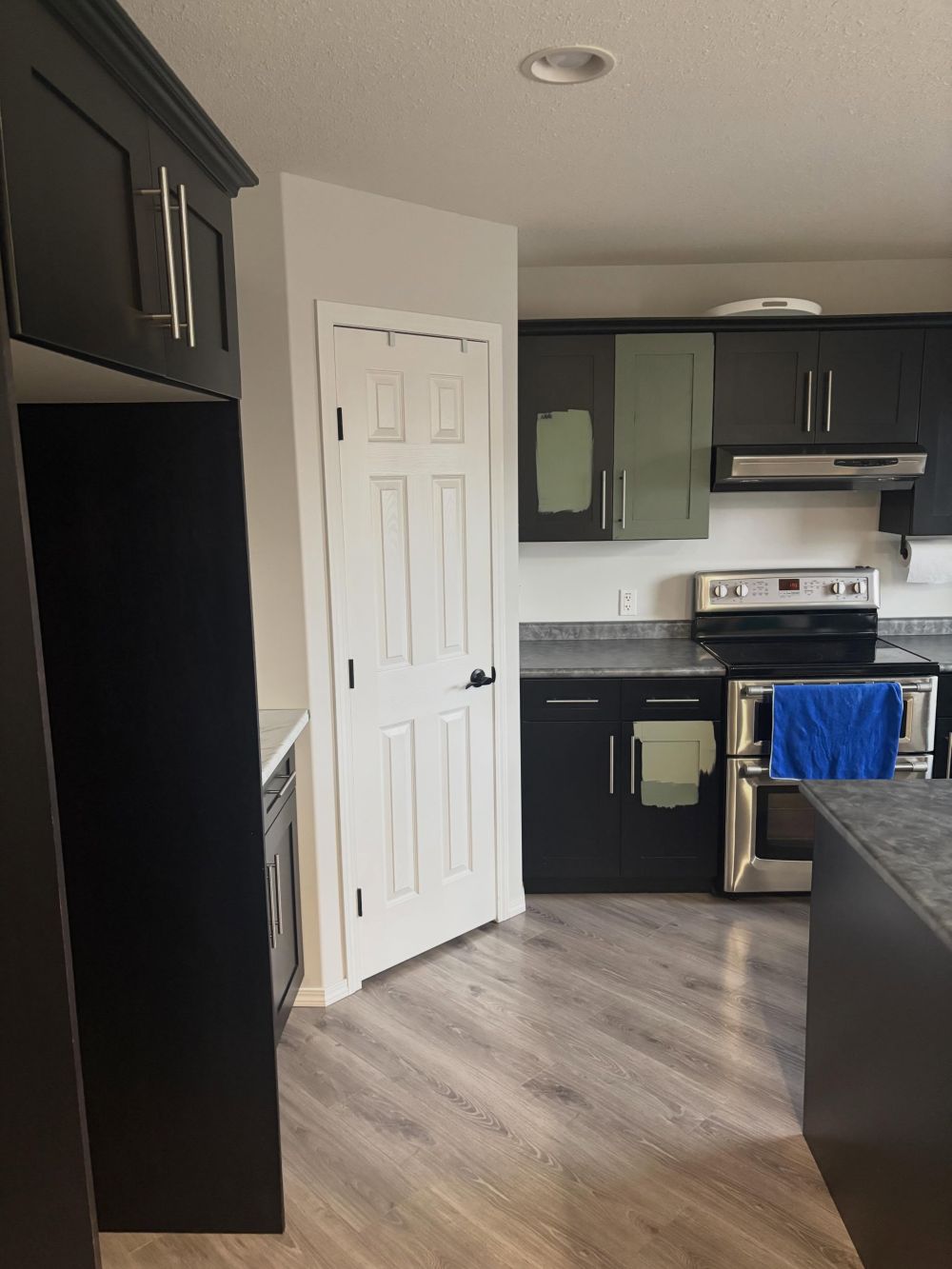 tall cabinets framed the refrigerator area