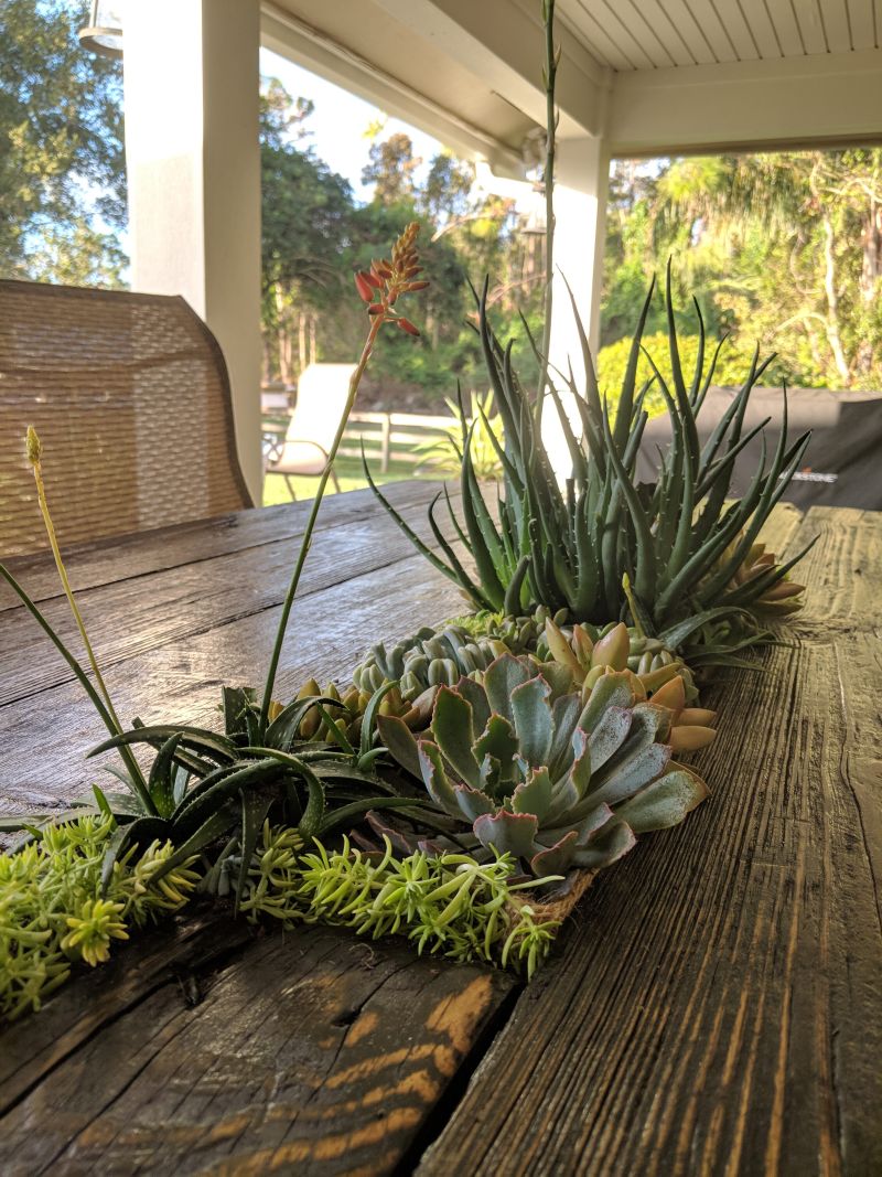 the arrangement follows the irregular shape