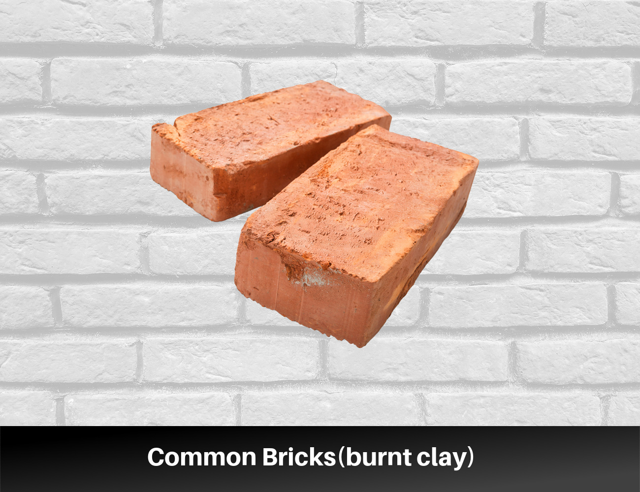 bricks