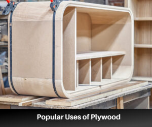 Uses of Plywood: Factors That Decide the Best Plywood for the Job