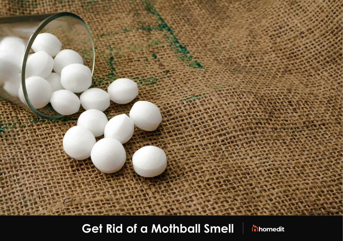 3 Ways to Get Rid of the Smell of Mothballs - wikiHow