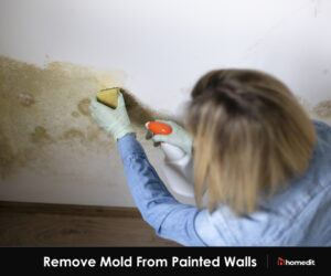 The Most Effective Method for Removing Mold From Painted Walls