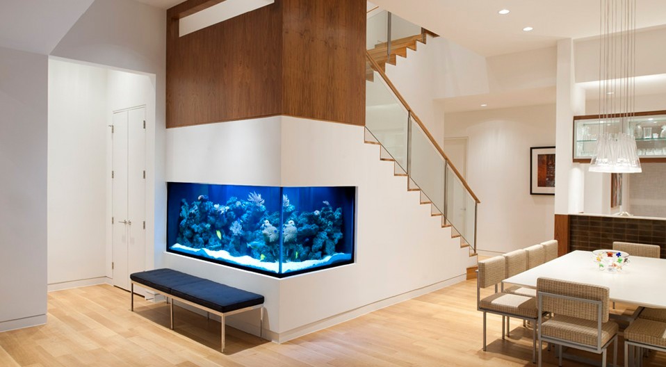 Aquariums for feng shui