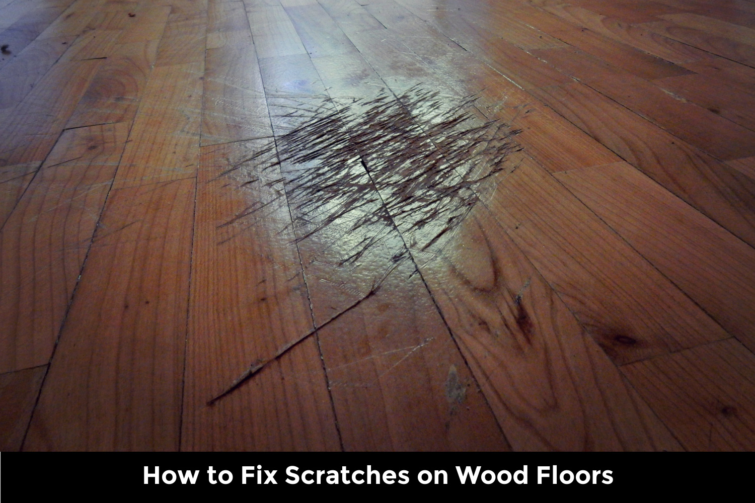 How To Fix Deep Scratches On Wood Floor Quick Solutions How To Fix Deep Scratches On Wood Floor Quick Solutions