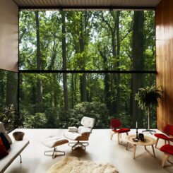 Floor To Ceiling Windows